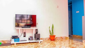 A living room with a television on a stand, a potted plant, and a speaker system.