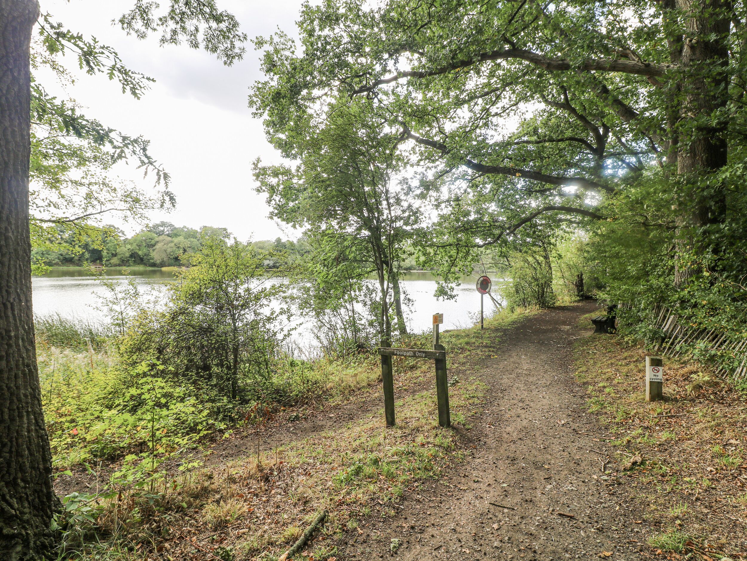 A footpath leading to a lake with trees and a bench.