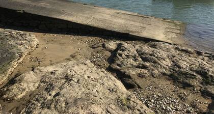 Appartement tout confort 42m2 pour 4 personnes avec sa piscine !