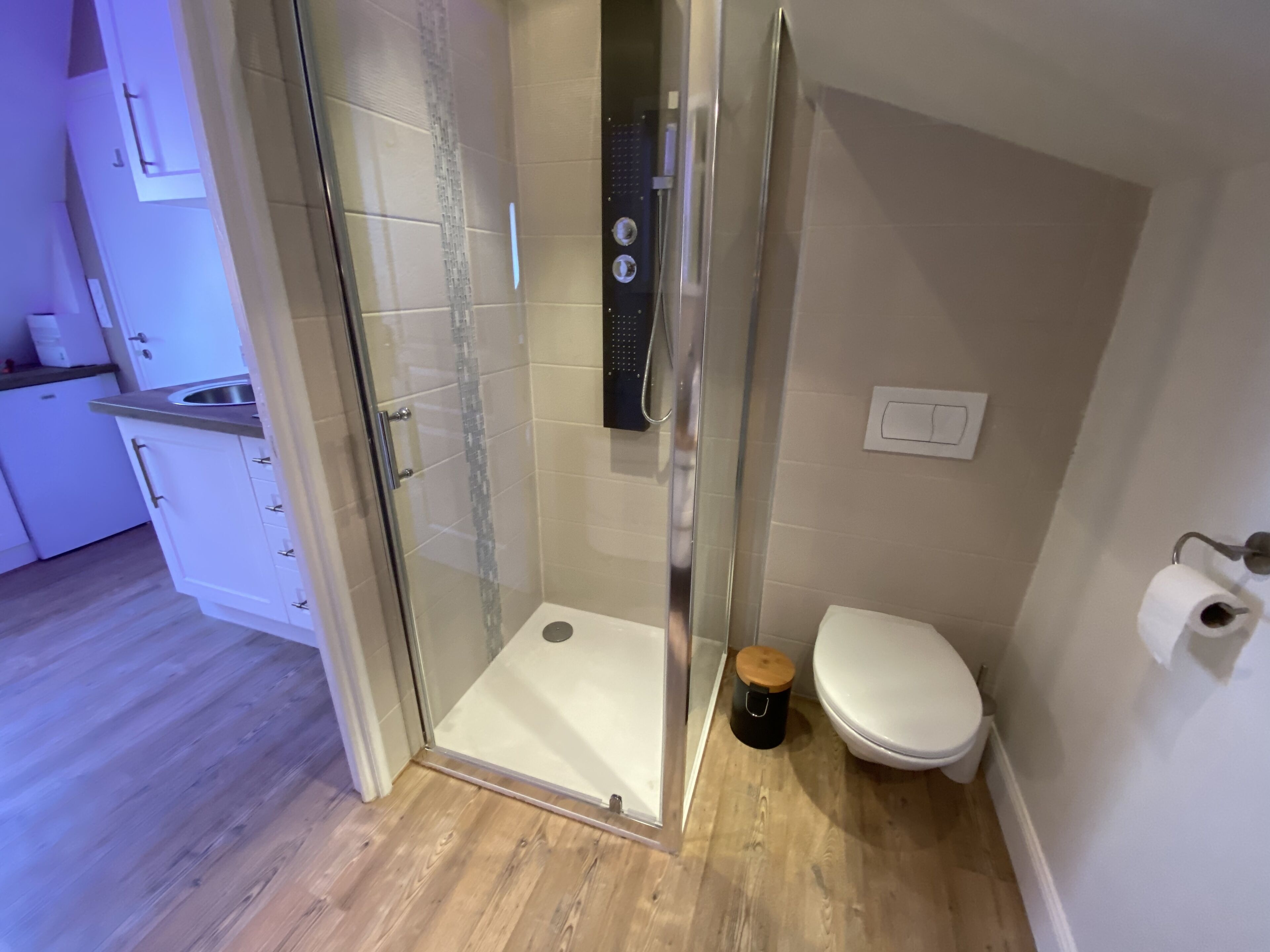 Ein modernes Badezimmer mit Duschkabine aus Glas, einer weißen Toilette und einer kleinen Mülleimer.