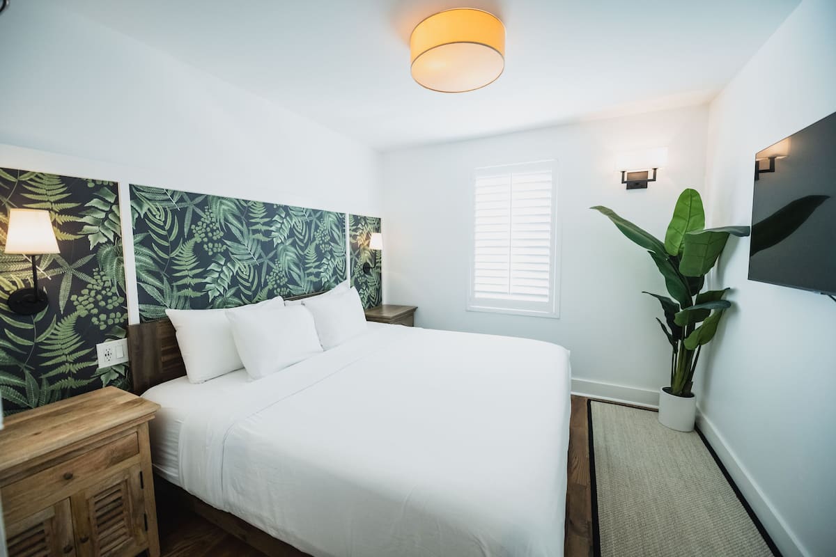 A neatly made bed with white linens, a wooden nightstand with a lamp, a large potted plant, and a wall-mounted TV.