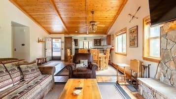 TV, fireplace, video game console