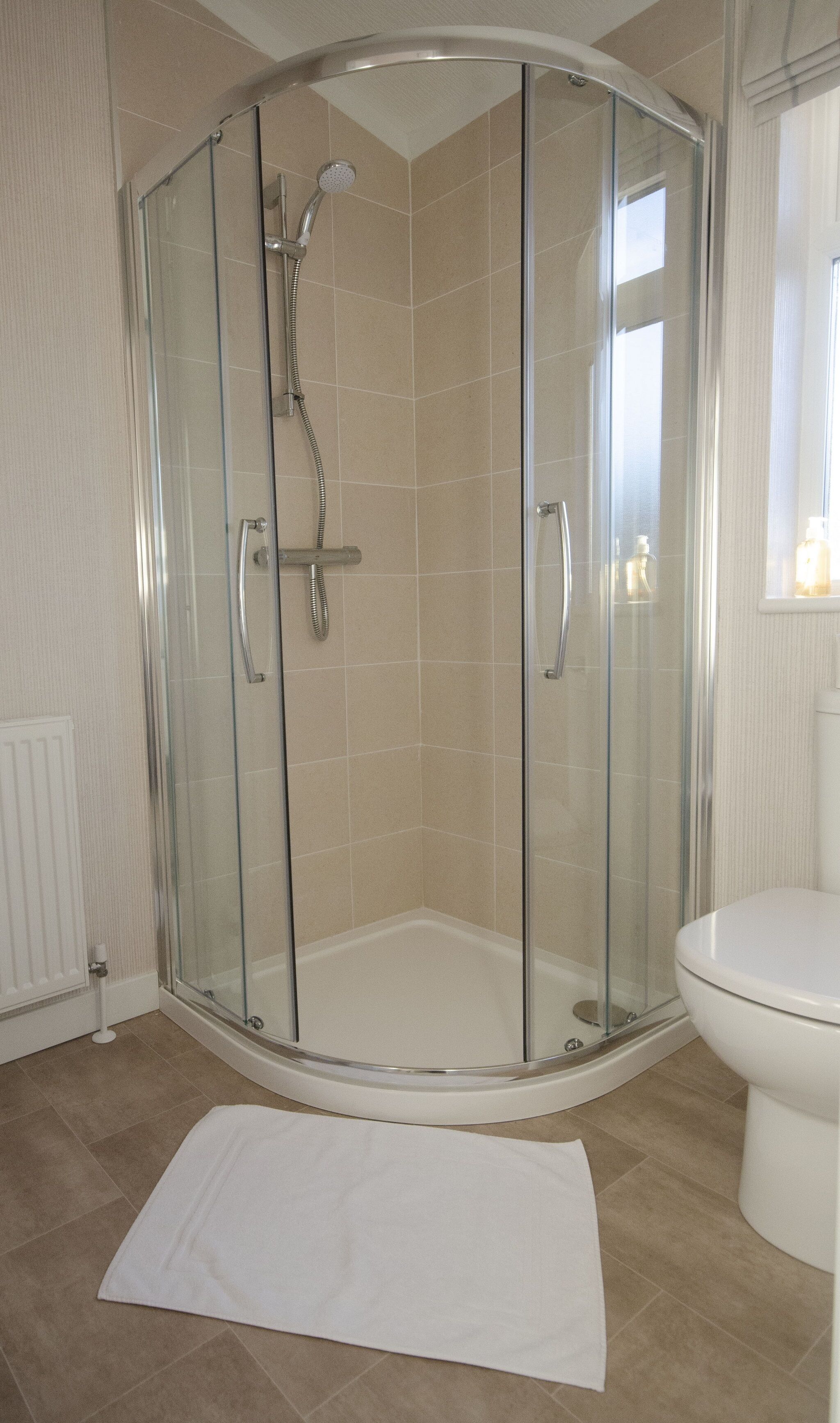A glass-enclosed shower with a handheld showerhead, a white toilet, and a white bath mat on the floor.