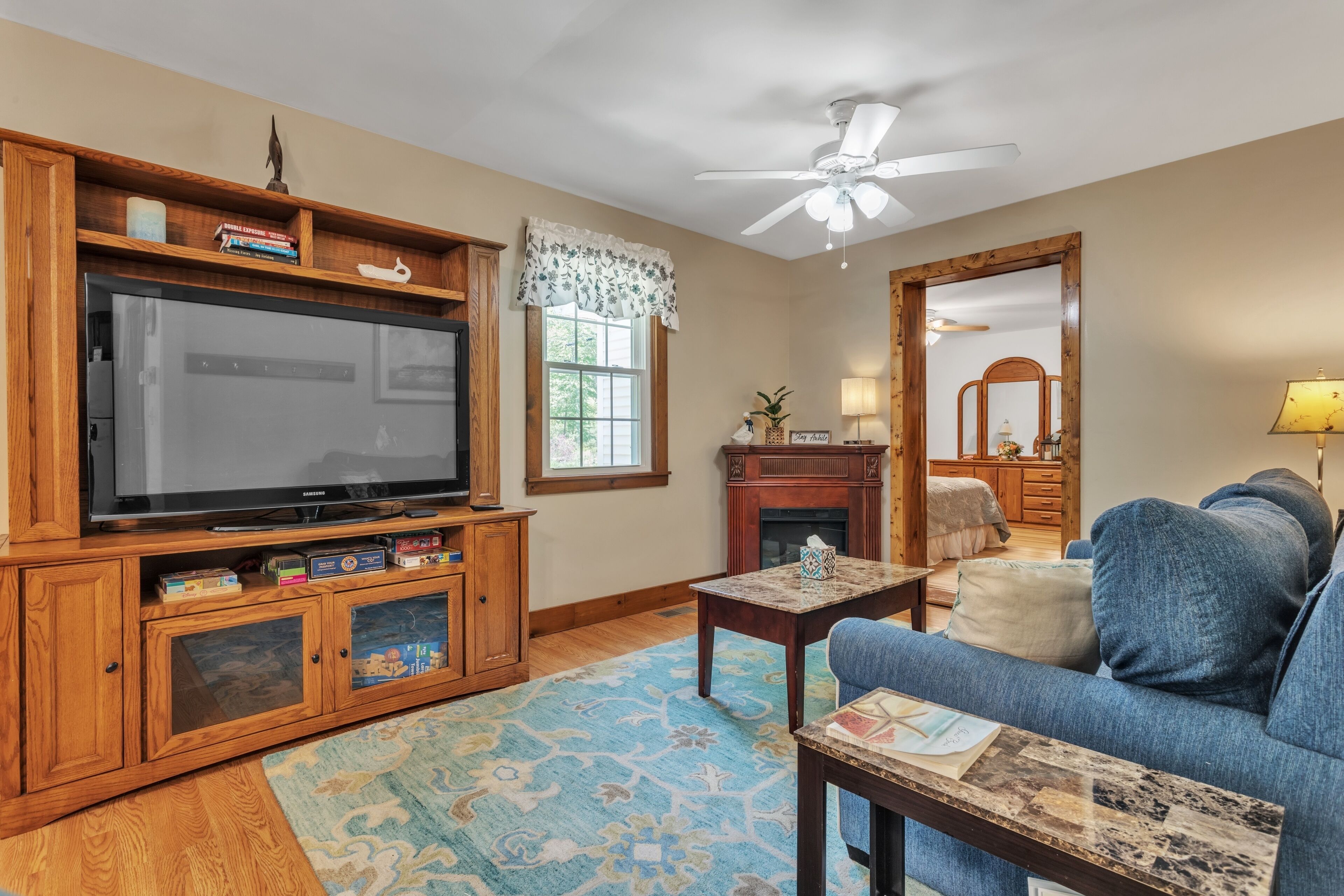 TV, fireplace, books