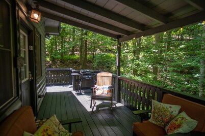 Uber Helen; Walk to town, Fireplace, CLEAN