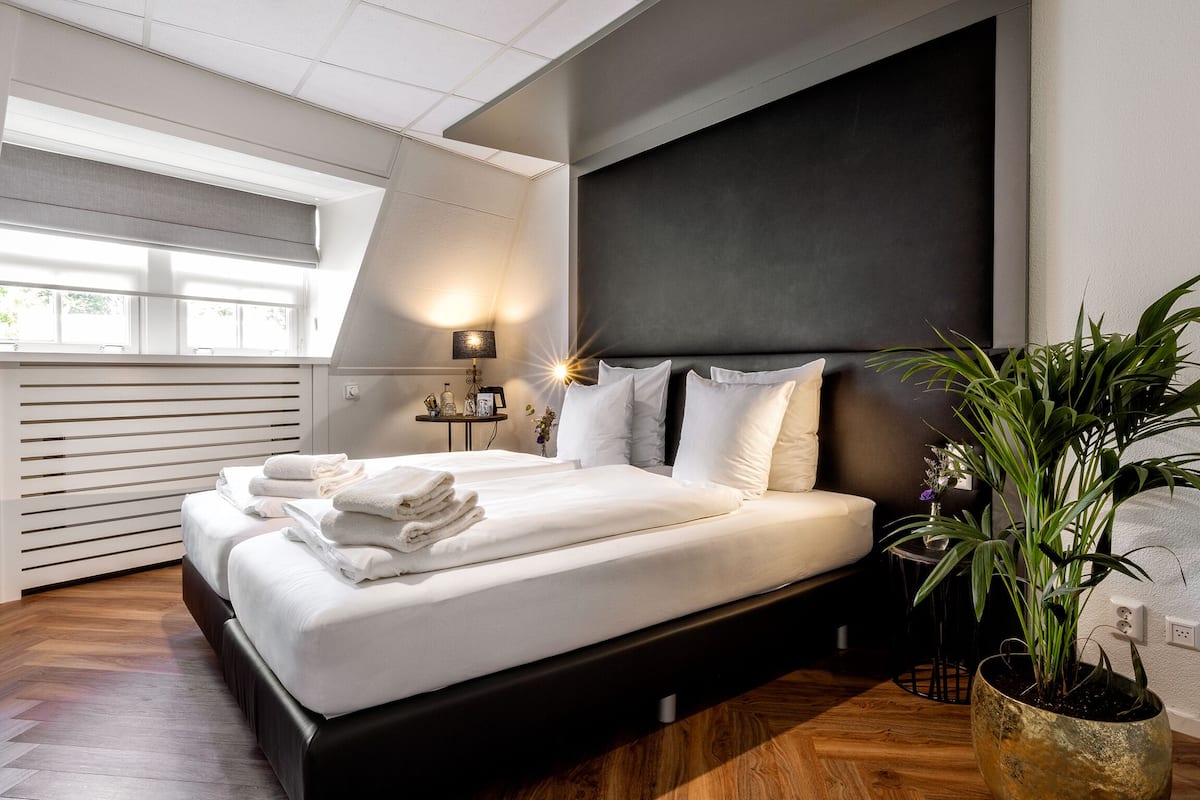 A modern bedroom with a large bed, a dark headboard, a bedside table with a lamp, and a potted plant.