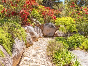 المنطقة المحيطة بالمنشأة