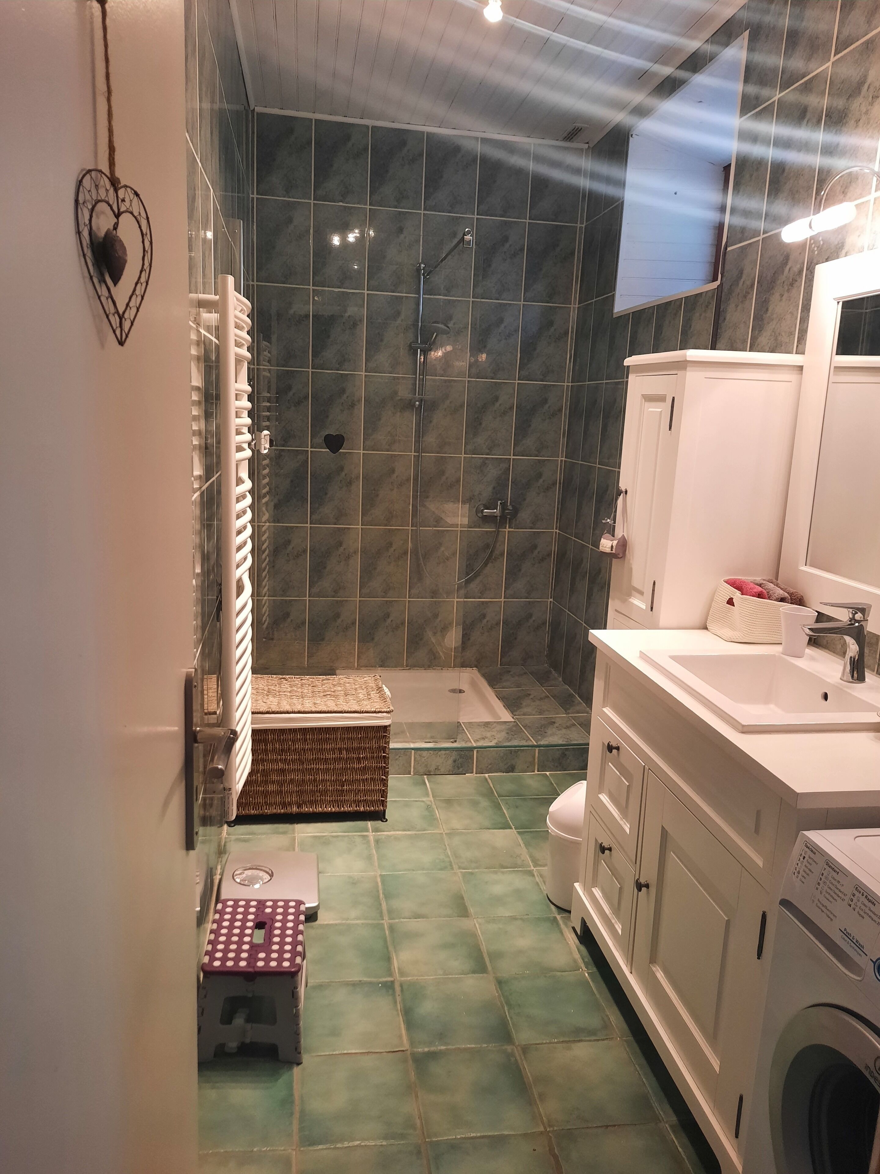 Chuveiro, secador de cabelo, papel higiênico 