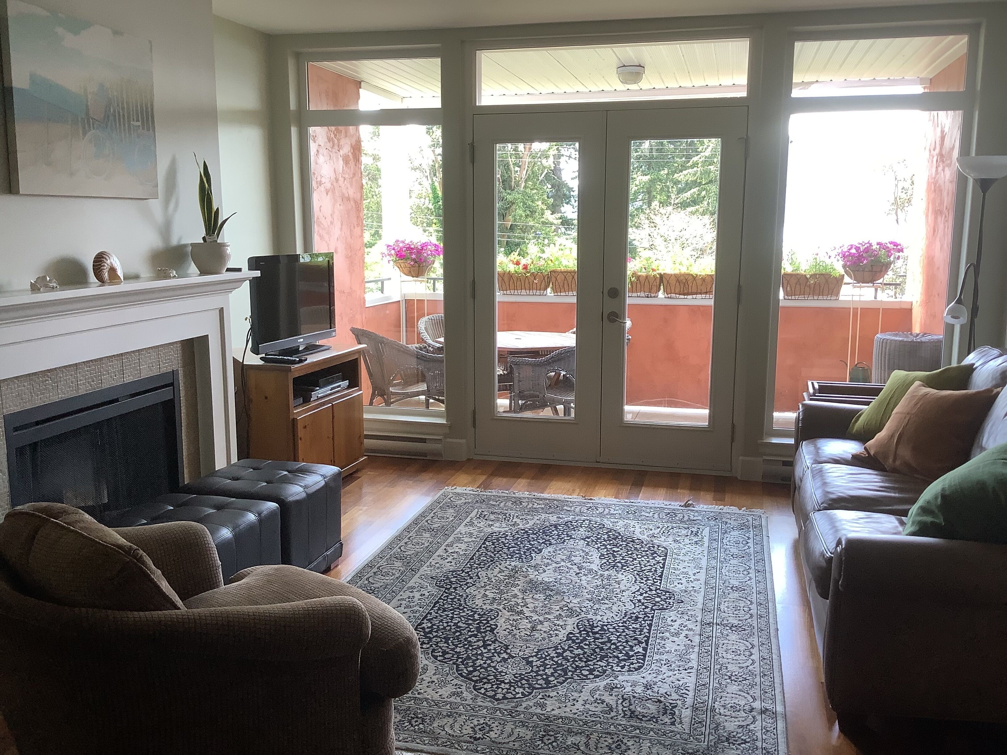 Smart TV, fireplace, Netflix, DVD player