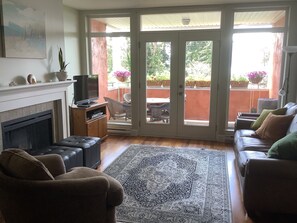 تلفزيون ذكي، مدفأة، برامج وأفلام نتفليكس، مشغل دي في دي