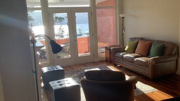 智能电视、壁炉、Netflix、DVD 播放器