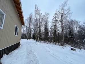 Property grounds - ECO Forest Cabin Families and Pets Welcome (Wasilla)