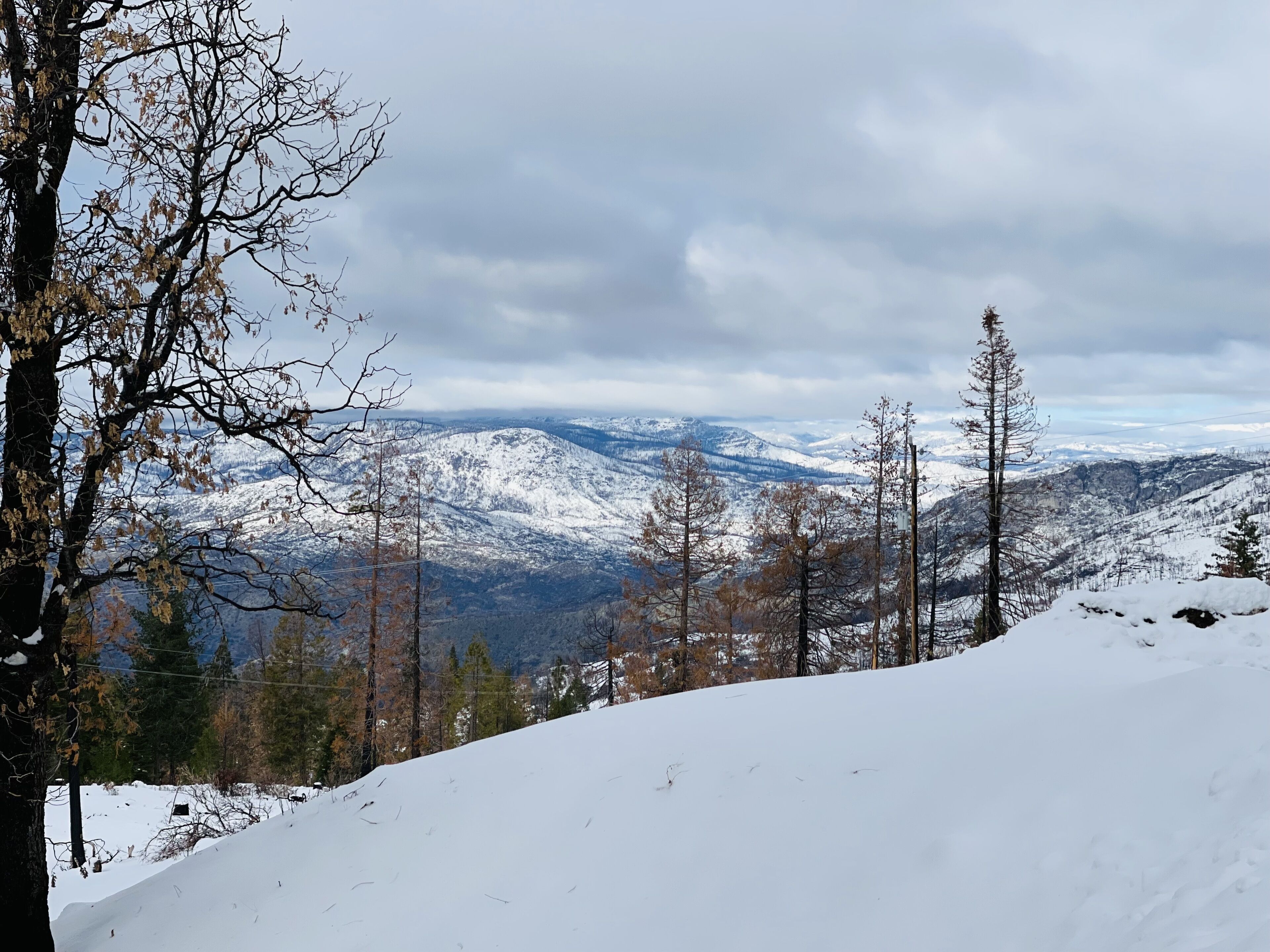 A snowy mountain landscape with a clear view of distant mountains and a few trees.