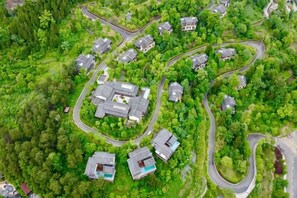 Vue aérienne d’un quartier résidentiel avec des rues sinueuses et des maisons entourées de verdure.