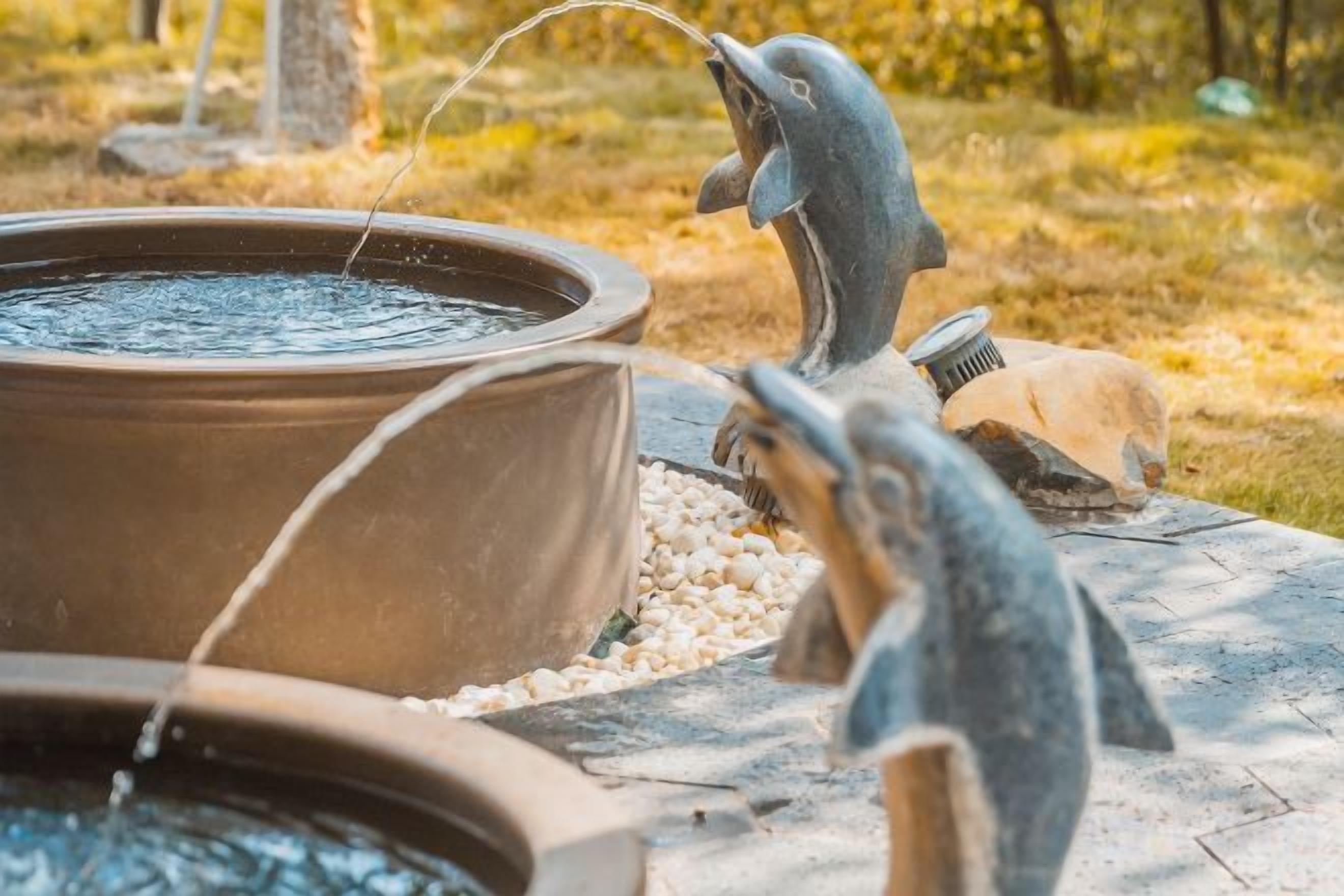 A water feature with two fish sculptures and a large basin.