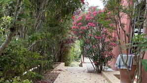 Ein Betonweg, gesäumt von üppiger Vegetation und blühenden rosa Pflanzen, führt zu einem Gebäude mit einer rosafarbenen Fassade.