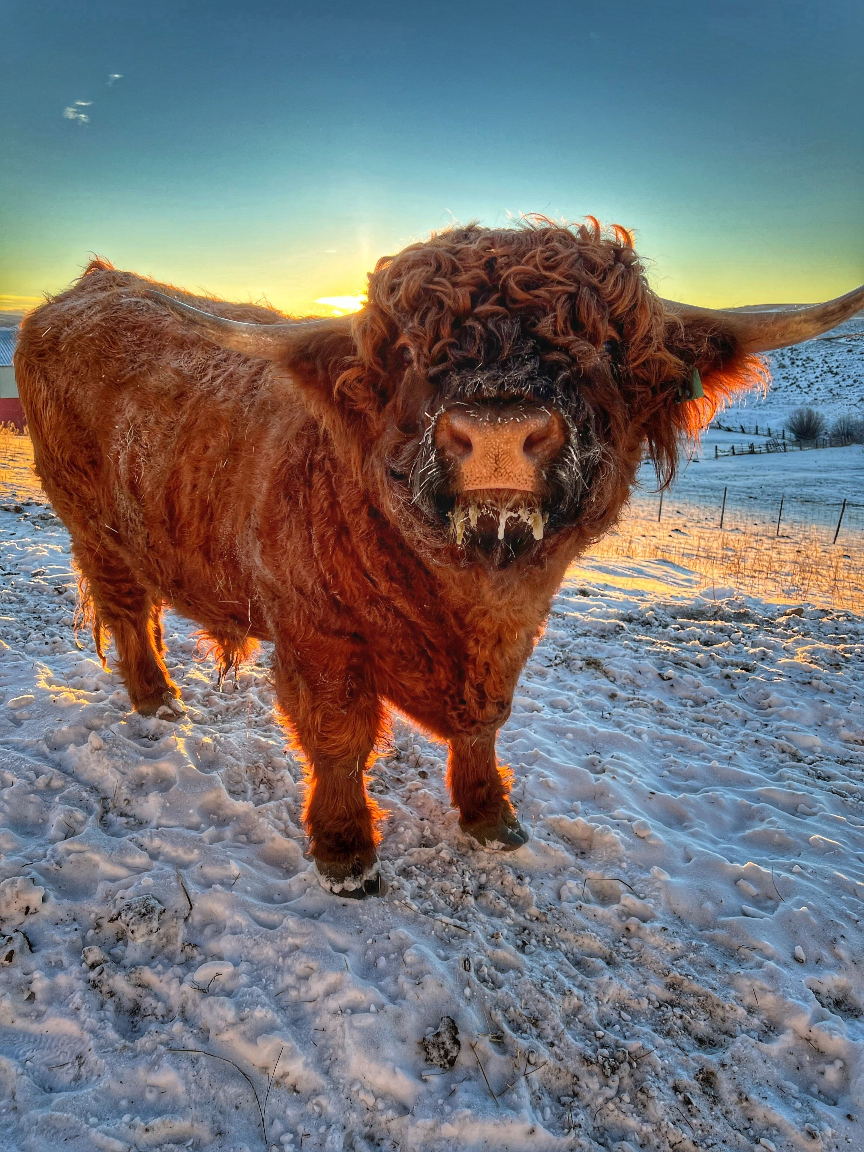 Log Cabin at the Flattops National Forest on a 1600 acre ranch 