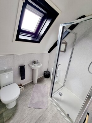 A modern bathroom with a skylight, a toilet, a sink, and a glass shower enclosure. - COZY STUNNNG TOWN CENTRE APARTMENT (ceredigion)
