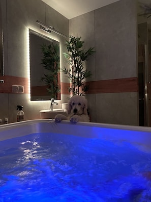 Combined shower/bathtub, jetted bath, bidet