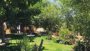 Ein Garten mit einer Steinsitzbank, einem Kaktus und einem Tisch mit Stühlen.