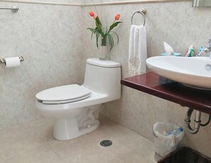Shower, towels, soap, toilet paper