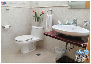 Shower, towels, soap, toilet paper