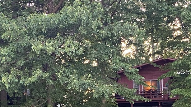 A dock with a boat, a wooden staircase leading to a building, and dense foliage in the background. - Poskin Lake Getaway Cabin Lakefront access and beautiful sunrise (Almena)