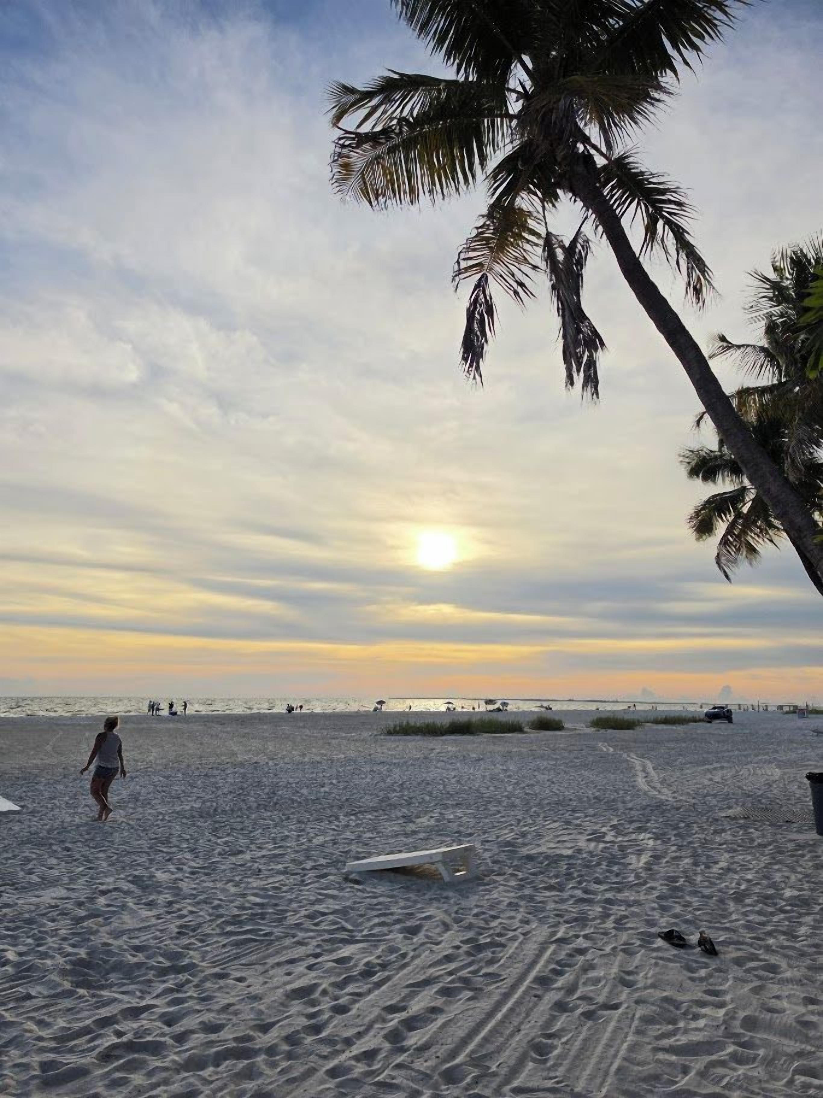 A beach scene with a palm tree, a person walking, and a sunset.