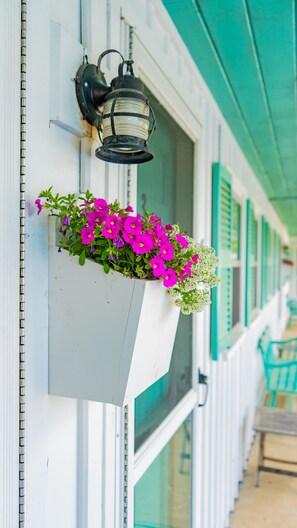 Façana frontal de l'allotjament