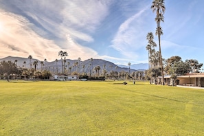 A large grassy field with tall palm trees and mountains in the background.