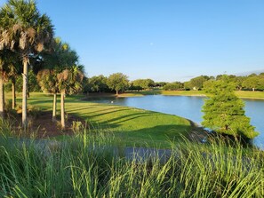 Property grounds - Spectacular water and golf course views (The Villages)