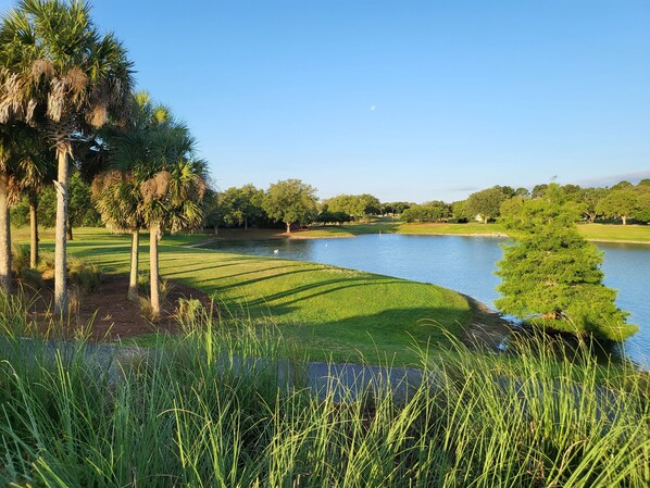 A serene golf course with a pond, surrounded by lush greenery and palm trees. - Spectacular water and golf course views (The Villages)