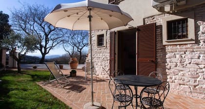 A05 - Massignano, two room apartment in the countryside 3