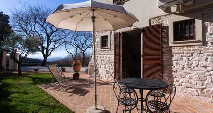 A05 - Massignano, two room apartment in the countryside 3