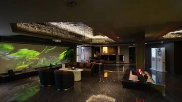 Comodidades da propriedade