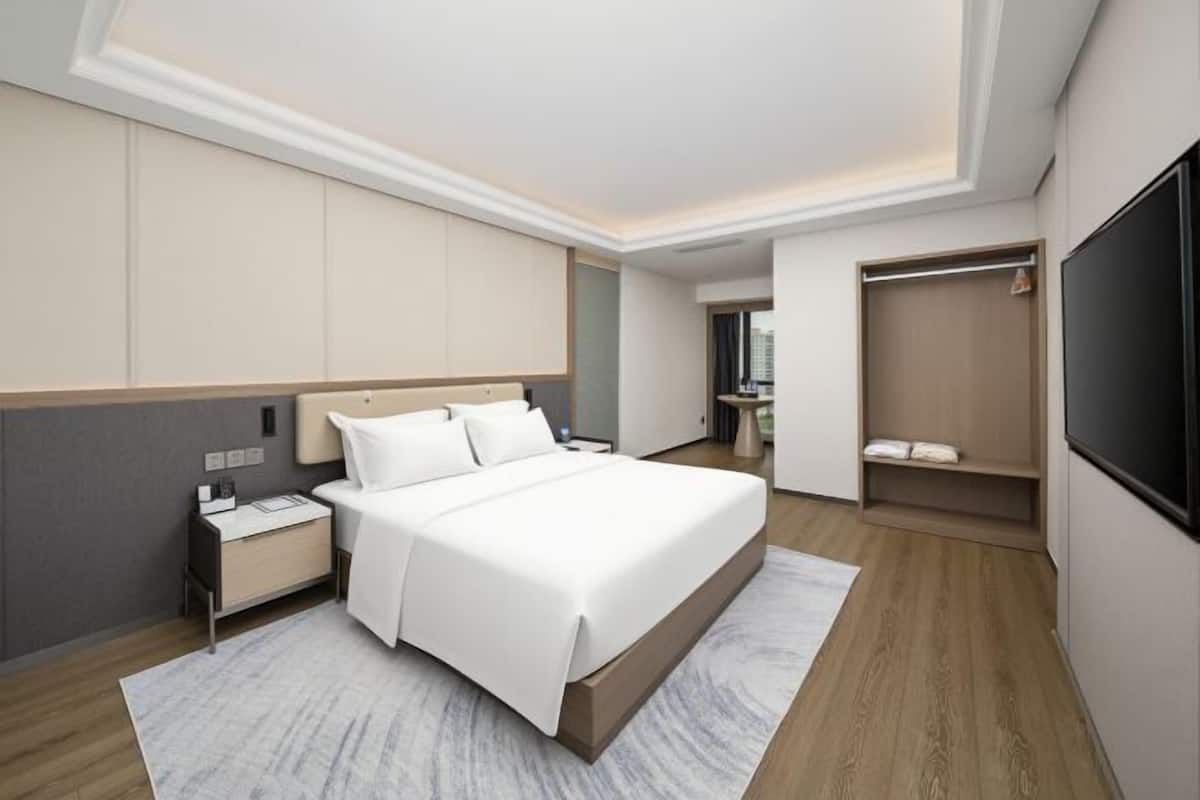 A modern hotel room with a large bed, bedside tables, a wardrobe, and a TV.