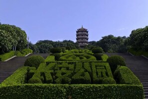 未分類圖片，第 5 張 (共 36 張)，按鈕