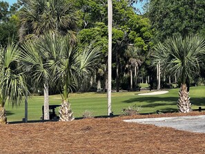 A well-maintained golf course with manicured grass, palm trees, and a clear sky. - 2nd row Ocean Views 4br 3ba Sleeps 12, '26 Pool Amenity Card, linens included (Edisto Island)