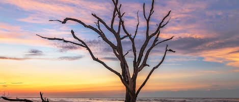 Vlak bij het strand, ligstoelen aan het strand