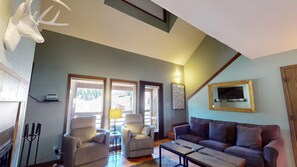 TV, fireplace