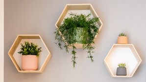 A room with a grey sofa, three hexagonal wooden shelves with plants, and a grey wall. - BoRa Apartment First - Villach (Villach)