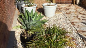 A garden area with potted plants, a wooden fence, and a stone pathway. - “Mona’s On Rockpool” - Waterfront heaven (Tuncurry)