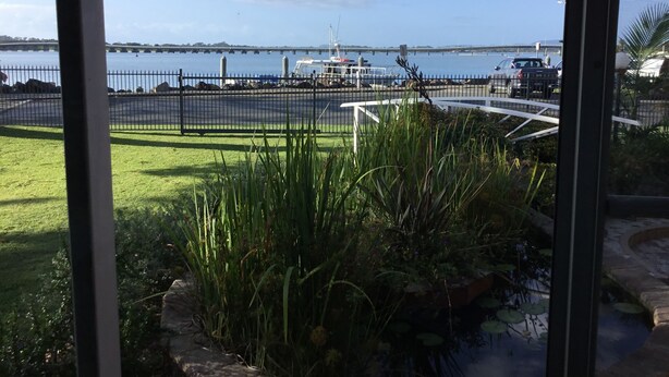 A view of a marina with boats docked, a bridge, and a grassy area with plants. - “Mona’s On Rockpool” - Waterfront heaven (Tuncurry)