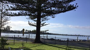 A park with a large tree, a fenced area, and a view of a body of water with a bridge in the distance. - “Mona’s On Rockpool” - Waterfront heaven (Tuncurry)