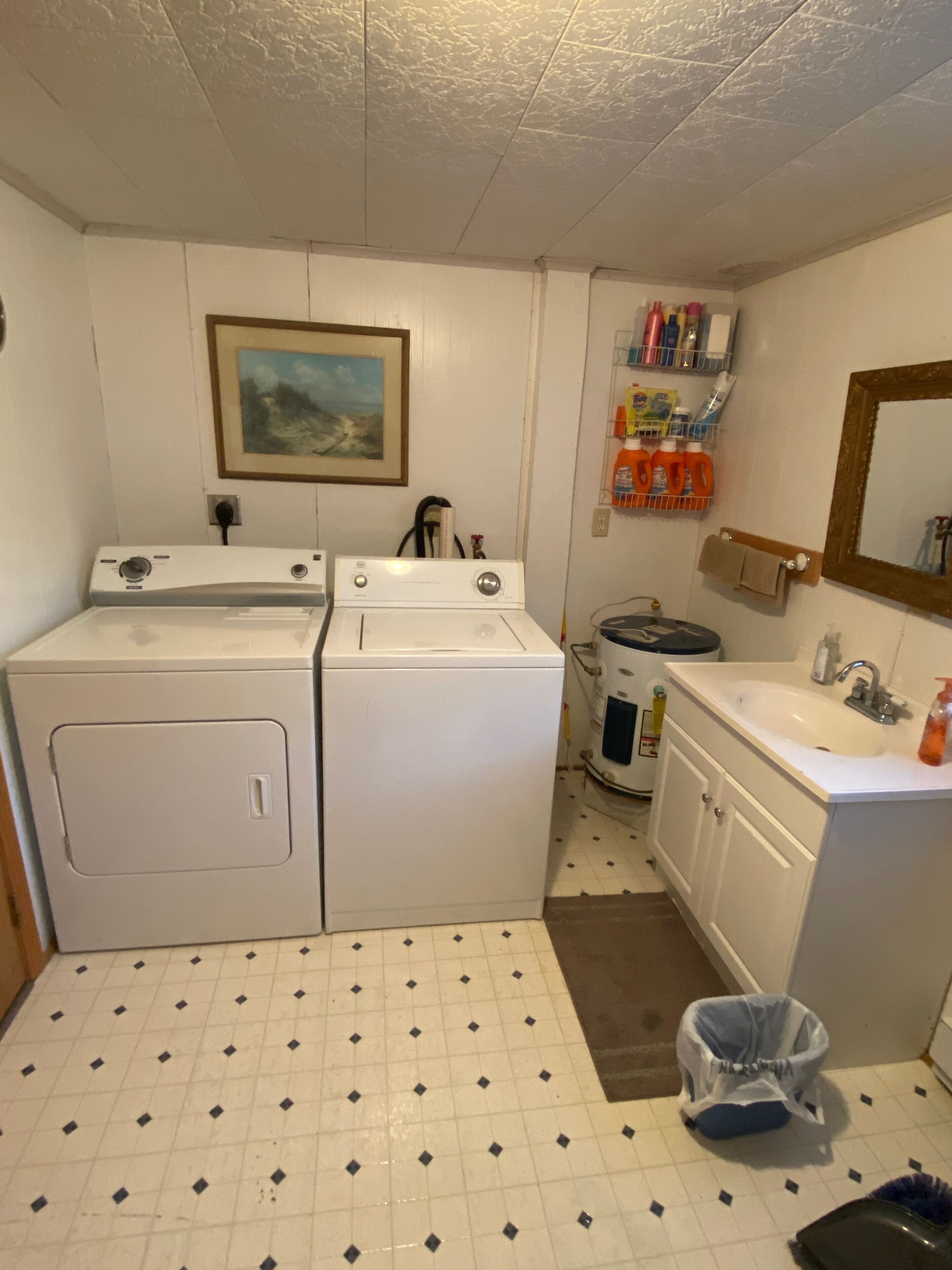 Ducha, secador de pelo y papel higiénico