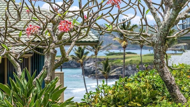 Un resort tropicale con vista sull'oceano, un edificio con tetto verde e una vegetazione lussureggiante.