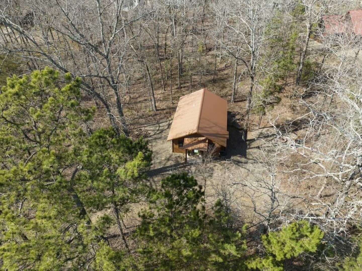 Une cabane isolée, entourée d’une forêt dense.