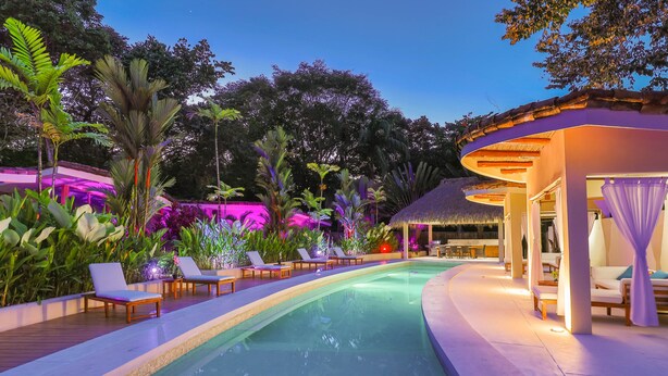 Un área junto a la piscina con sillas de descanso y una piscina, rodeada de plantas tropicales y un edificio con techo de paja.