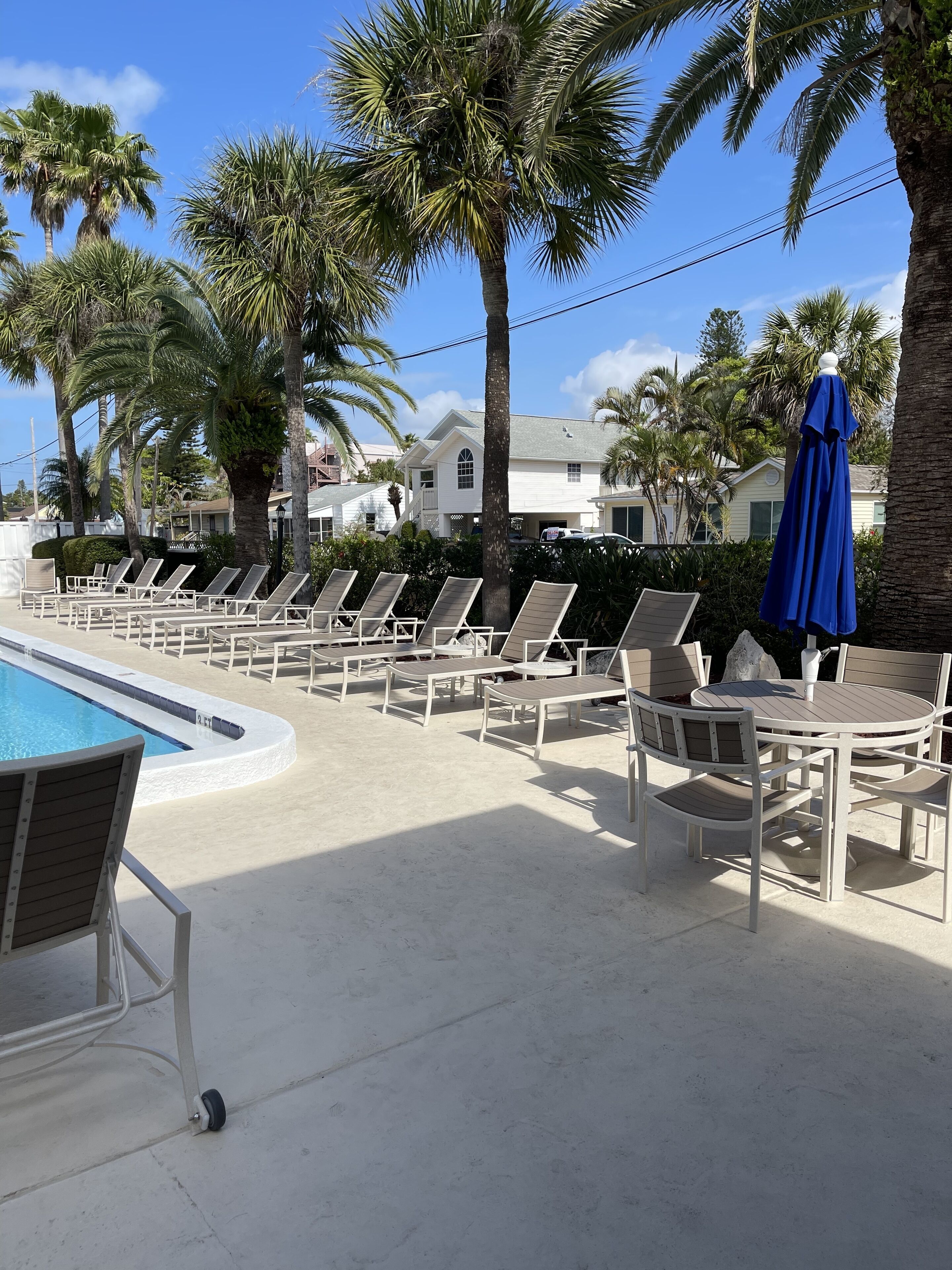 Un espace aménagé au bord de la piscine, avec des chaises longues et un parasol bleu, entouré de palmiers et surplombé d’un ciel dégagé.