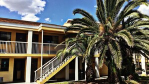 Un edifici amb façana groga, una escala que condueix a un balcó i una palmera gran al primer pla.